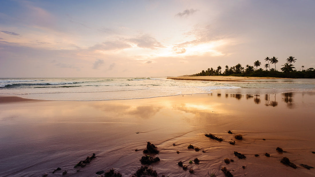 SELFCARE ESSENTIALS: A GUIDE TO A HEALTHIER, HAPPIER YOU