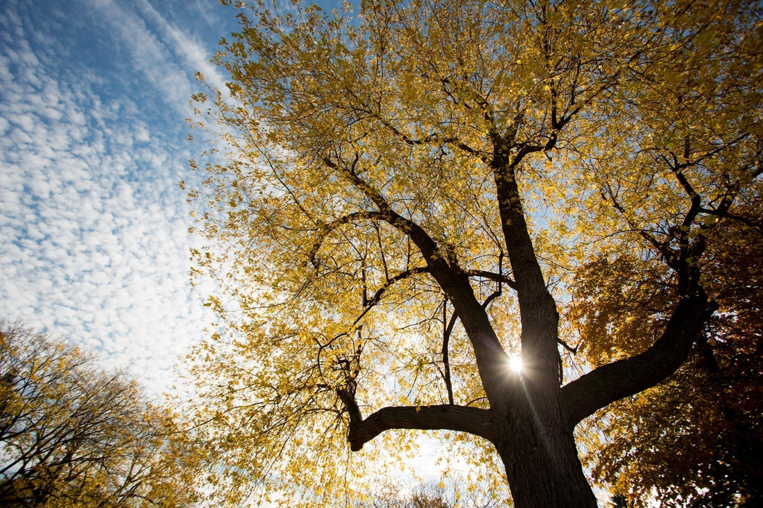 5 BEST WELLBEING ACTIVITIES FOR ADULTS TO BOOST MIND, BODY AND SOUL